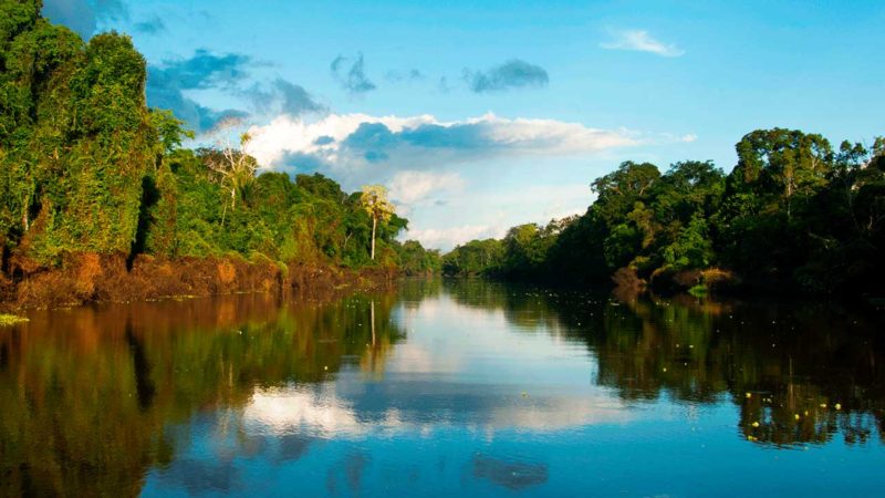 Amazônia: Afinal uma Boa Notícia